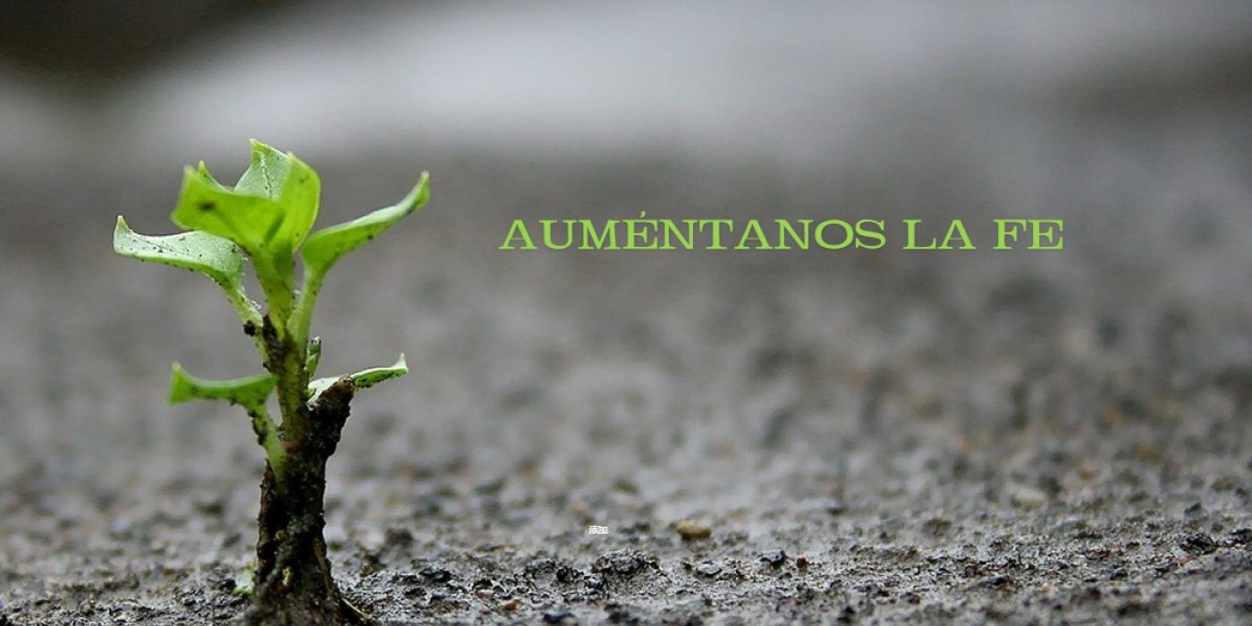 ¡Auméntanos la fe!