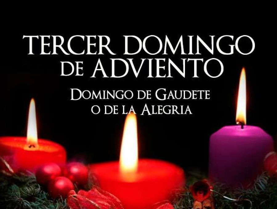 "Que se alegre el desierto y se cubra de flores, que florezca como un campo de lirios, que se alegre y d\u00e9 gritos de j\u00fabilo"