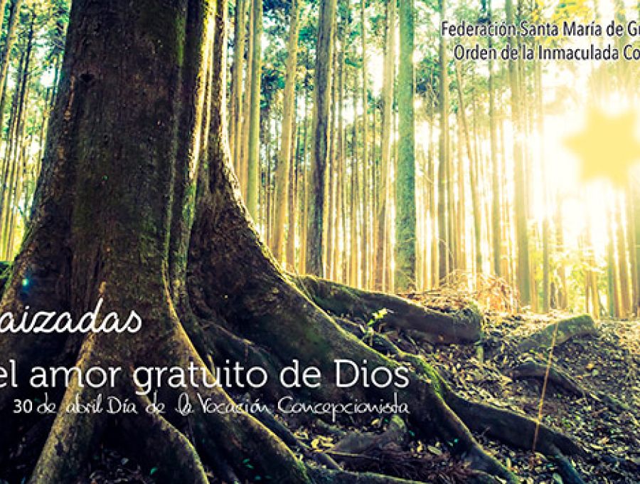 30 DE ABRIL- DÍA DE LA VOCACIÓN CONCEPCIONISTA