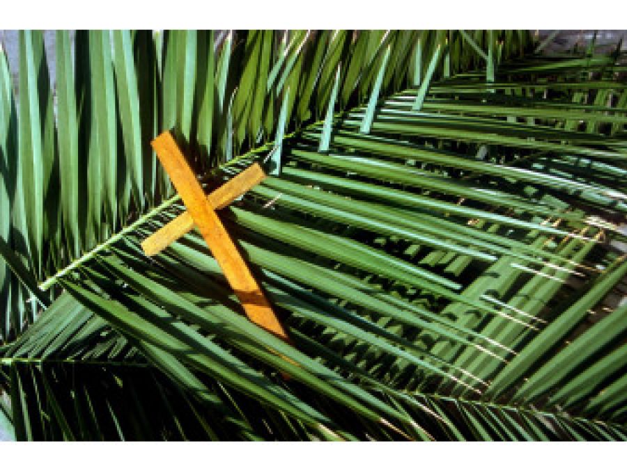 Vivir la Semana Santa desde el silencio