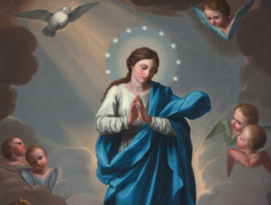 Carta del Asistente. Solemnidad de la Inmaculada