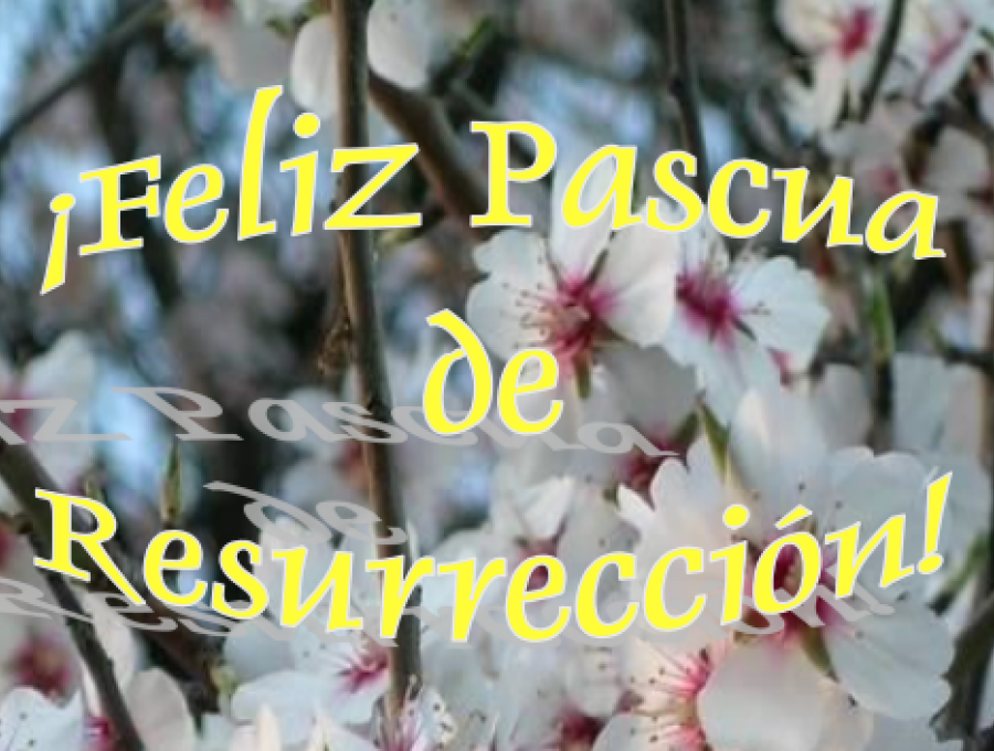 Feliz Pascua de Resurrección.
