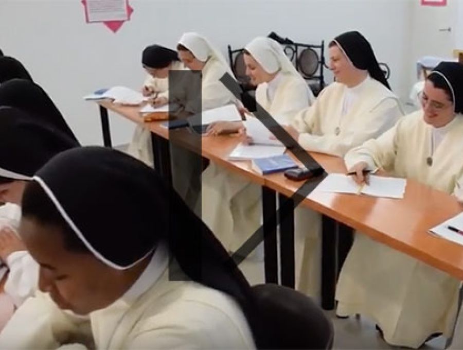 Video curso de verano