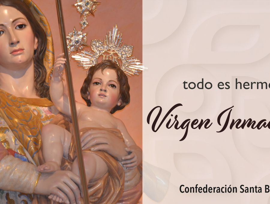 CARTA DE LA COORDINADORA. Solemnidad de la Inmaculada