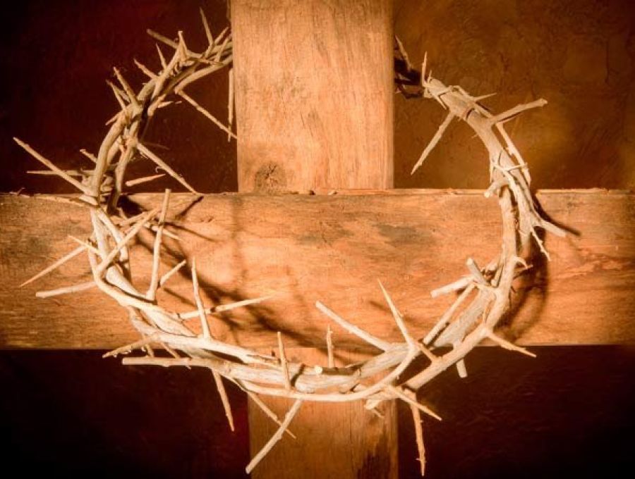 Queremos ver a Jesús