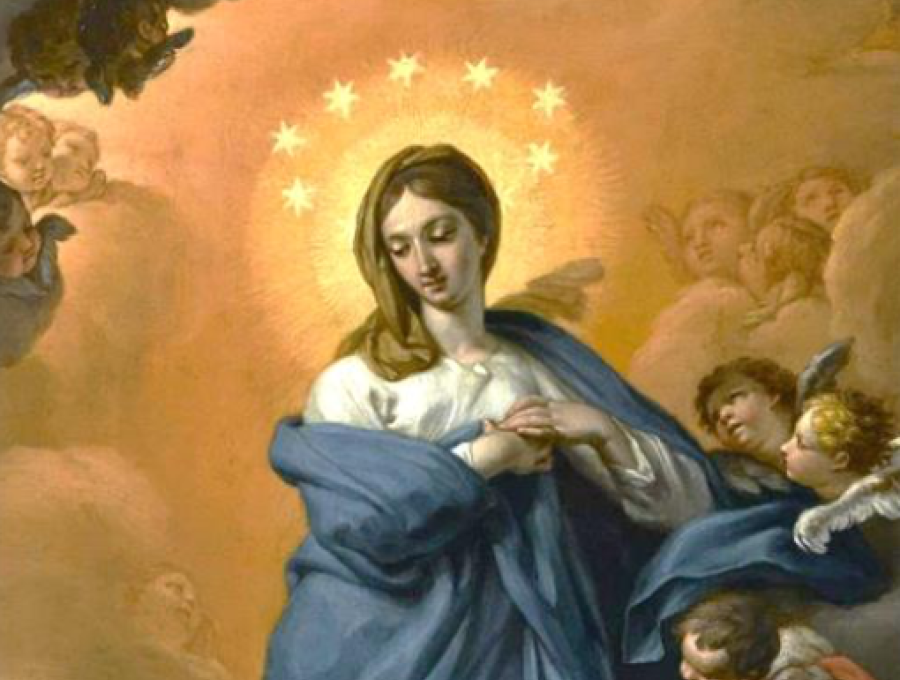 Carta Presidenta. Solemnidad de la Inmaculada