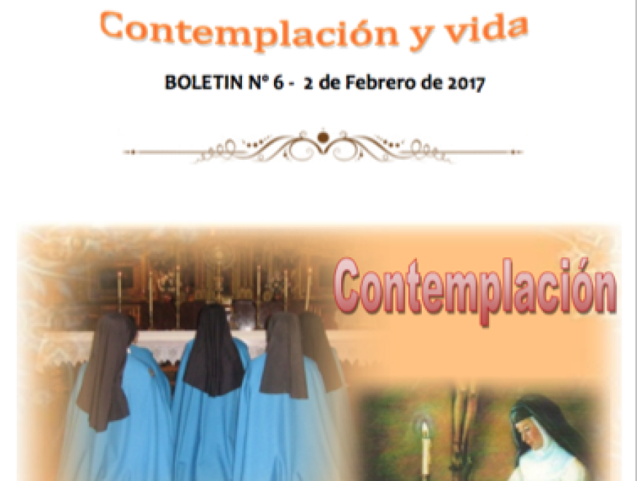 Boletín 6 - Contemplación y Vida
